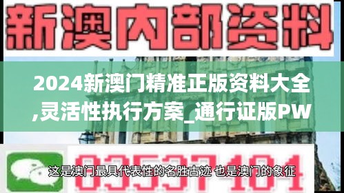 2024新澳门精准正版资料大全,灵活性执行方案_通行证版PWL29.674