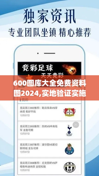 600图库大全免费资料图2024,实地验证实施_精致生活版XRT72.902