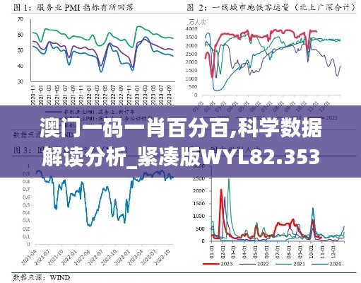 澳门一码一肖百分百,科学数据解读分析_紧凑版WYL82.353