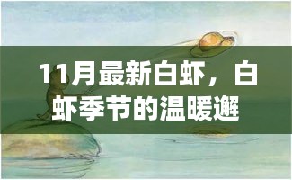 白虾季节的邂逅，友情与爱的故事