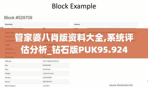 管家婆八肖版资料大全,系统评估分析_钻石版PUK95.924