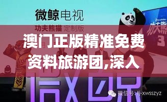 澳门正版精准免费资料旅游团,深入探讨方案策略_定制版ZLO33.302