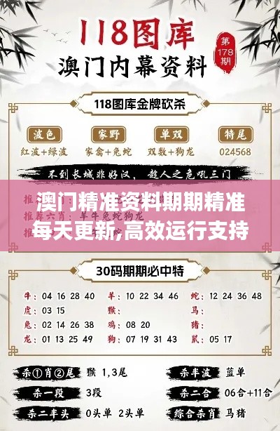 澳门精准资料期期精准每天更新,高效运行支持_娱乐版ZJR96.541