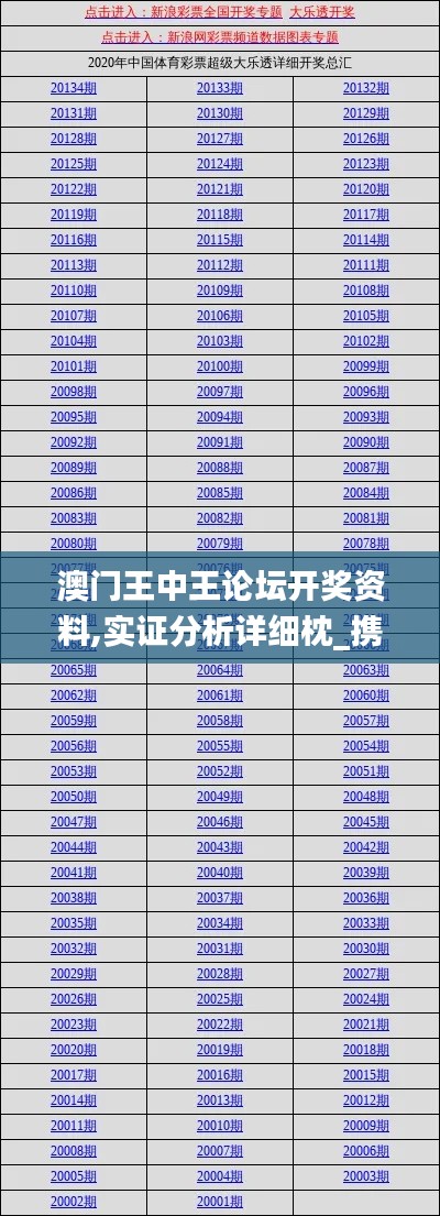 澳门王中王论坛开奖资料,实证分析详细枕_携带版NGG8.172