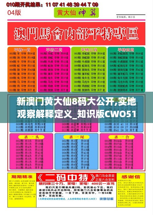 新澳门黄大仙8码大公开,实地观察解释定义_知识版CWO51.813