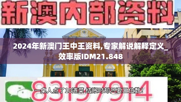 2024年新澳门王中王资料,专家解说解释定义_效率版IDM21.848