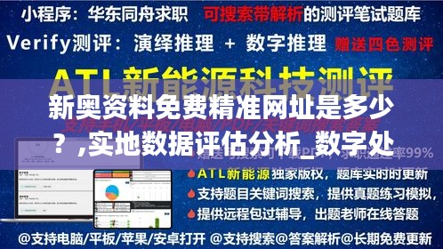 新奥资料免费精准网址是多少？,实地数据评估分析_数字处理版WKT68.624