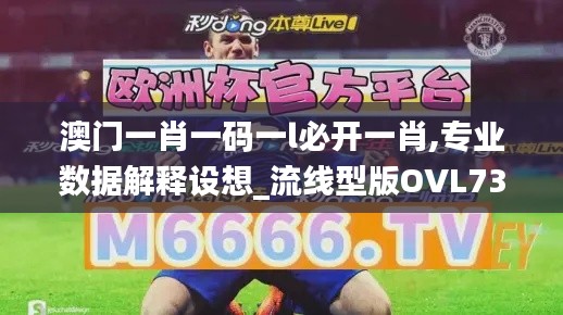 澳门一肖一码一l必开一肖,专业数据解释设想_流线型版OVL73.342