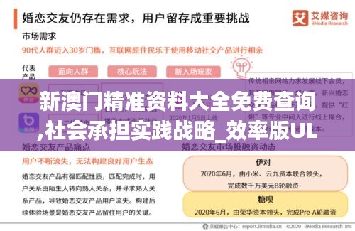 新澳门精准资料大全免费查询,社会承担实践战略_效率版ULS57.326
