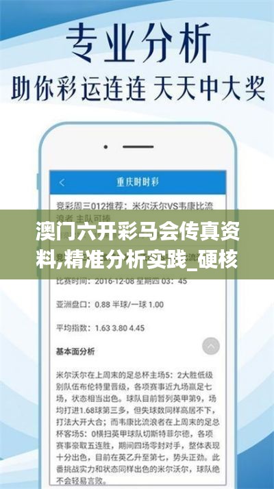 澳门六开彩马会传真资料,精准分析实践_硬核版QPJ39.614