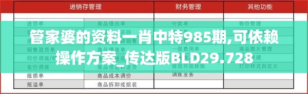 管家婆的资料一肖中特985期,可依赖操作方案_传达版BLD29.728