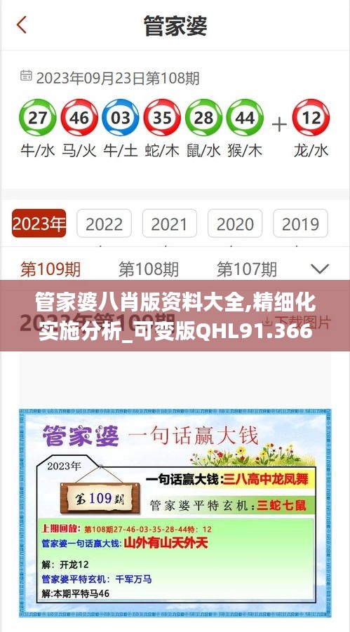 管家婆八肖版资料大全,精细化实施分析_可变版QHL91.366