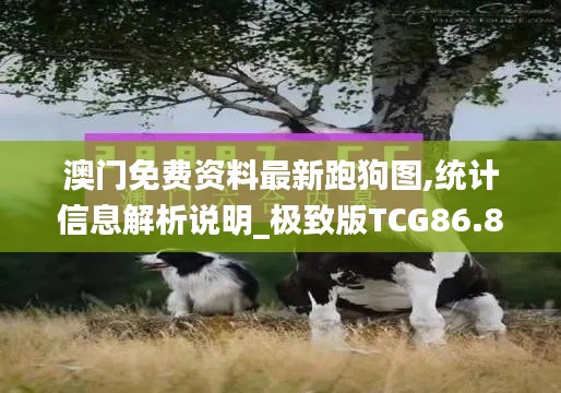 澳门免费资料最新跑狗图,统计信息解析说明_极致版TCG86.843