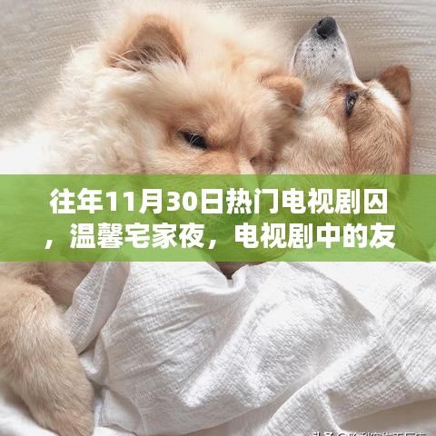 囚中温情，宅家夜里的友情与家的温暖——热门电视剧回顾