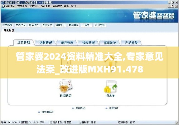 管家婆2024资料精准大全,专家意见法案_改进版MXH91.478