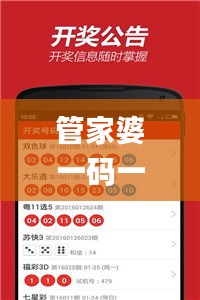 管家婆一码一肖100准,执行验证计划_先锋版HTG24.750