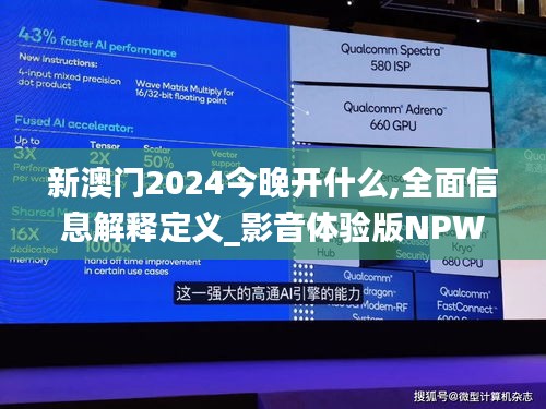 新澳门2024今晚开什么,全面信息解释定义_影音体验版NPW61.229