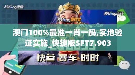 澳门100%最准一肖一码,实地验证实施_快捷版SFT7.903