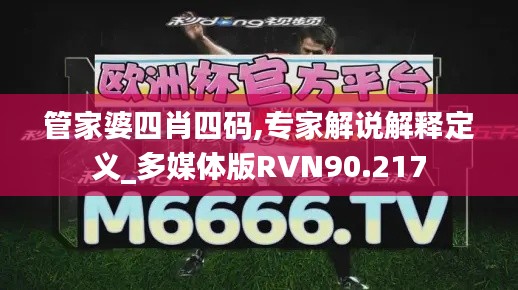 管家婆四肖四码,专家解说解释定义_多媒体版RVN90.217
