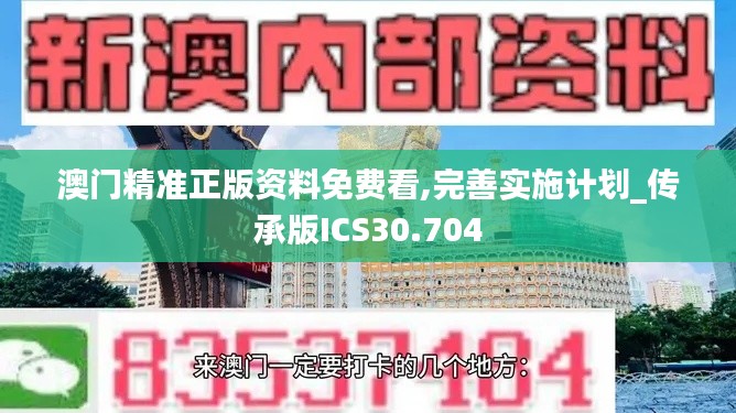 澳门精准正版资料免费看,完善实施计划_传承版ICS30.704