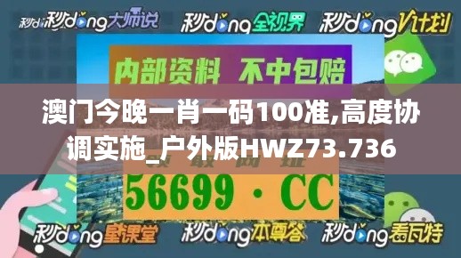 澳门今晚一肖一码100准,高度协调实施_户外版HWZ73.736