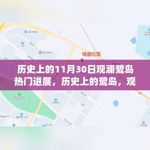 历史上的观澜鹭岛进展，鹭岛变迁与梦想照亮未来之路