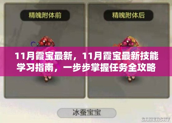 11月霞宝最新技能学习指南，全面掌握任务攻略