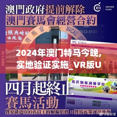 2024年澳门特马今晚,实地验证实施_VR版UDH82.495