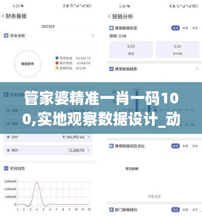 管家婆精准一肖一码100,实地观察数据设计_动态版FDJ47.928