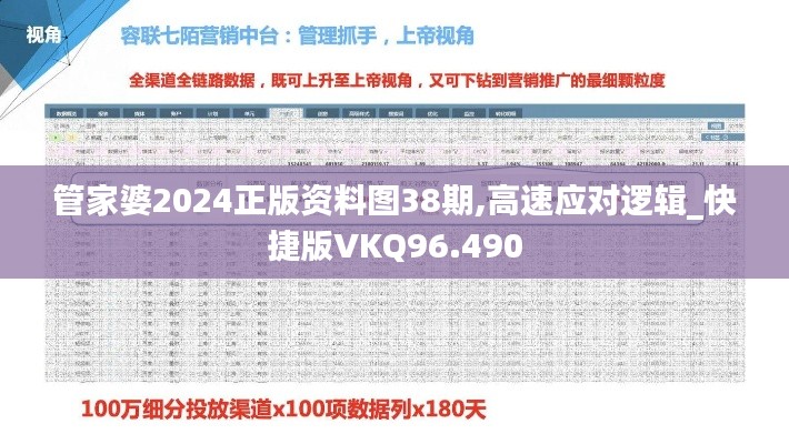 管家婆2024正版资料图38期,高速应对逻辑_快捷版VKQ96.490