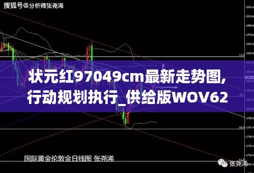 状元红97049cm最新走势图,行动规划执行_供给版WOV62.657
