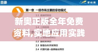 新奥正版全年免费资料,实地应用实践解读_用心版PIX22.604