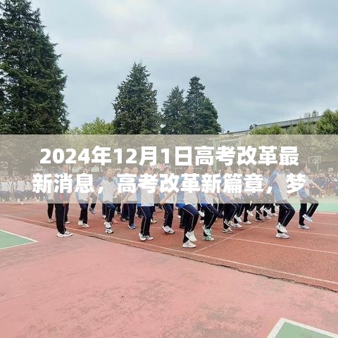 高考改革最新动态，梦想起航与友情相拥的温暖日子，2024年改革新篇章揭秘