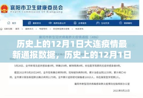历史上的12月1日大连疫情最新通报数据及其深度分析与影响阐述