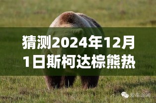 斯柯达棕熊未来热门报价预测，深度剖析背景、事件与地位（至2024年视角）
