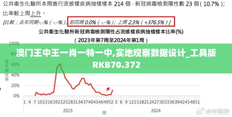 澳门王中王一肖一特一中,实地观察数据设计_工具版RKB70.372