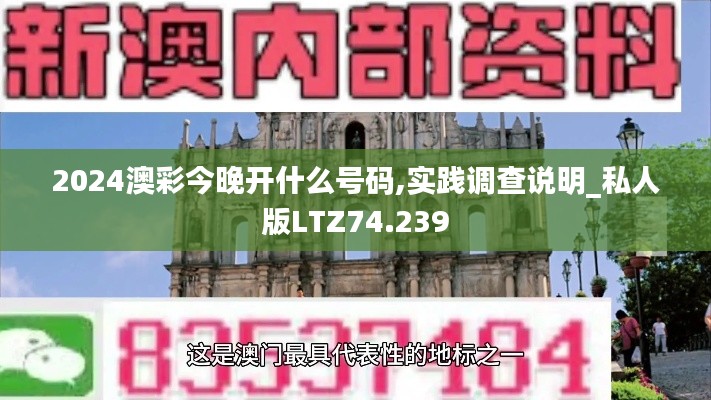2024澳彩今晚开什么号码,实践调查说明_私人版LTZ74.239