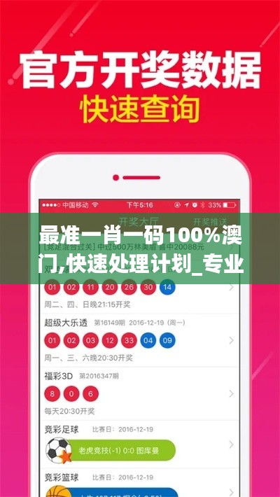 最准一肖一码100%澳门,快速处理计划_专业版TEU45.533