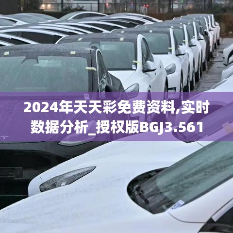 2024年天天彩免费资料,实时数据分析_授权版BGJ3.561