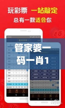 管家婆一码一肖100中奖,机制评估方案_轻奢版EIC92.582