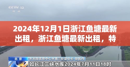 鸟面鹄形 第4页