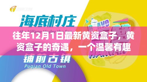 黄资盒子的奇遇，温馨有趣的十二月故事开启