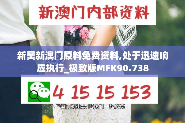 新奥新澳门原料免费资料,处于迅速响应执行_极致版MFK90.738