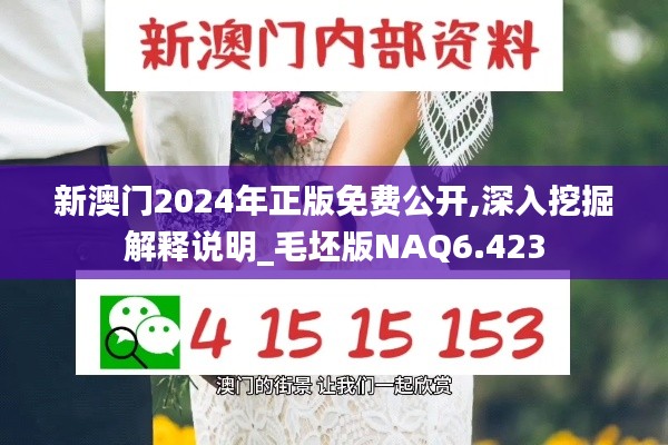 新澳门2024年正版免费公开,深入挖掘解释说明_毛坯版NAQ6.423
