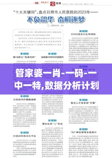 管家婆一肖-一码-一中一特,数据分析计划_调整版OWD69.966