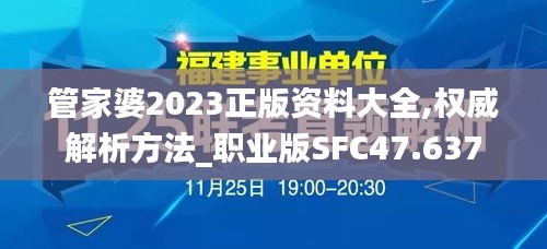 管家婆2023正版资料大全,权威解析方法_职业版SFC47.637