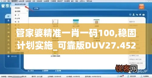 管家婆精准一肖一码100,稳固计划实施_可靠版DUV27.452