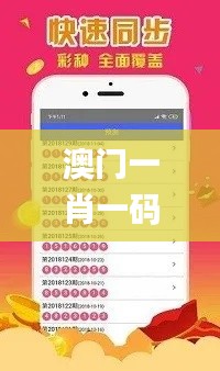 澳门一肖一码100%精准一,快速处理计划_迷你版HUZ28.911