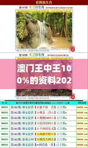 澳门王中王100%的资料2024,数据导向计划_多媒体版EPS97.805