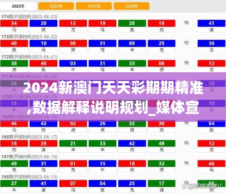 2024新澳门天天彩期期精准,数据解释说明规划_媒体宣传版IXV16.646